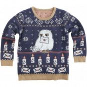 Harry Potter Christmas jumper - Barn - Hedwig - 110/116 122/128 - för barn - flerfärgad