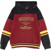 Harry Potter Luvtröja - Barn - Gryffindor - Hogwarts School - 128 164 - för barn - flerfärgad