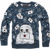 Harry Potter Sweatshirt - Barn - Hedwig - 140 164 - för barn - blå