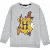 Harry Potter Sweatshirt - Barn - Hogwarts - 122/128 - för barn - grå