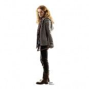 Hermione Granger Emma Watson Kartongfigur