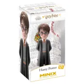 Minix Harry Potter Harry Movies 121 - Minix -  Leksaksaffären