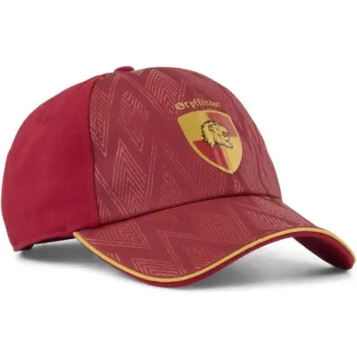 Puma Keps - PUMA x HARRY POTTER Dad Cap Jr - för  röd