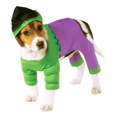 Hulken Hund Maskeraddräkt - Small