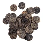 Piratmynt Gamla - 50-pack