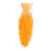 Fjädrar Orange - 50-pack