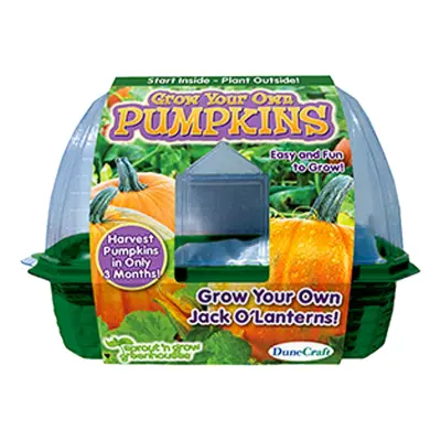 Odla Dina Egna Pumpor