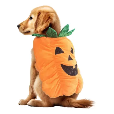 Pumpa Maskeraddräkt för Hund