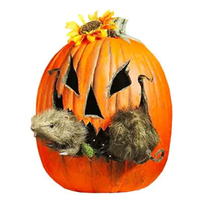 Råtta Dekoration till Pumpa