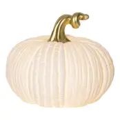 Vit Pumpa LED - 17 cm