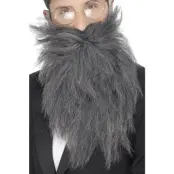 Långt Skägg Med Mustasch Grå