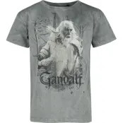 Sagan om Ringen T-shirt - Gandalf - S M - för Herr - flerfärgad