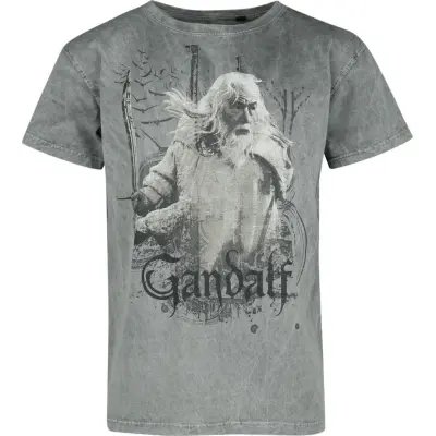 Sagan om Ringen T-shirt - Gandalf - S M - för Herr - flerfärgad