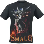 The Hobbit T-shirt - Smaug - L - för Herr - svart