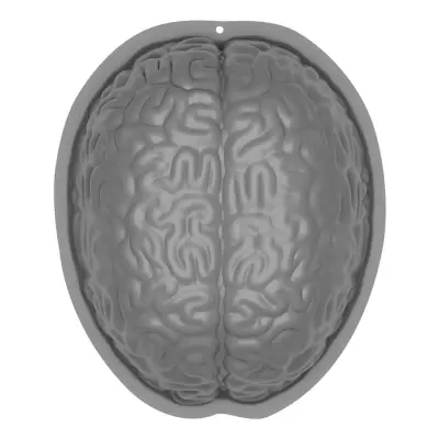 Bakform Hjärna