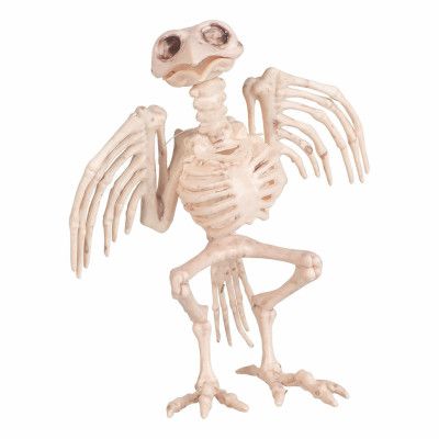 Fågelskelett Prop
