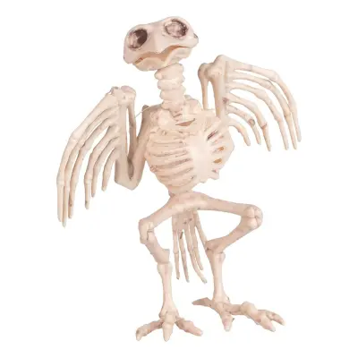 Fågelskelett Prop