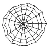 Gigantiskt Spindelnät Svart