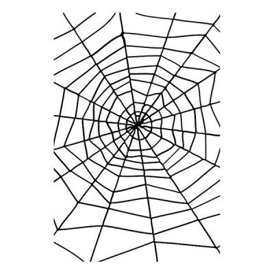 Gigantiskt Spindelnät Svart