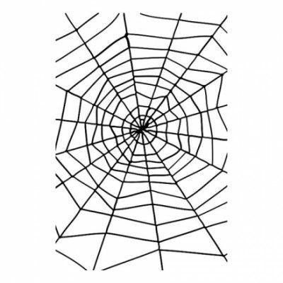 Gigantiskt Spindelnät Svart
