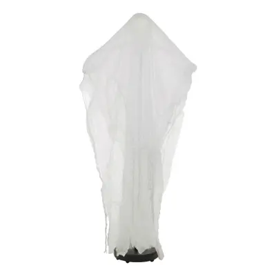 Ljudaktiverat Spöke