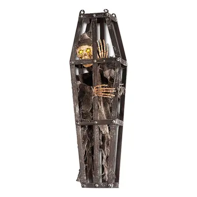 Skelett i Kista Prop