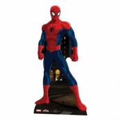 Spiderman Kartongfigur