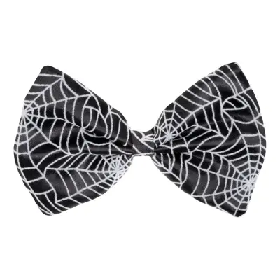 Fluga med Spindelnät