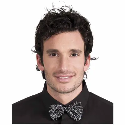 Fluga Spindel Halloween