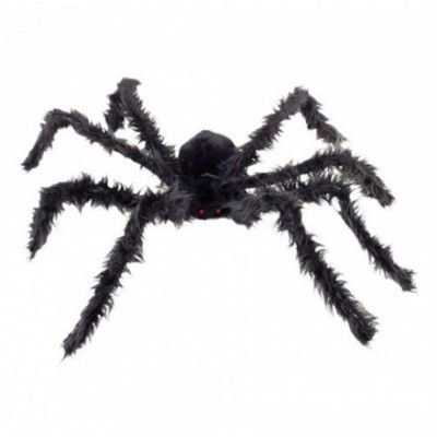 Jättespindel med Lysande Ögon