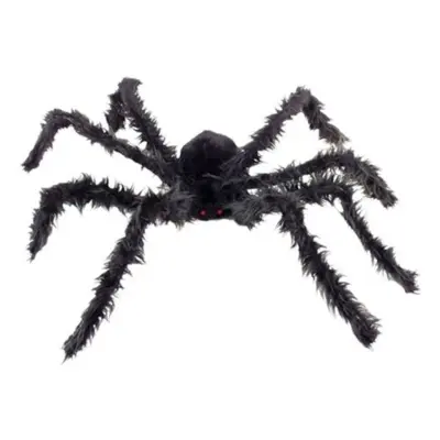 Jättespindel med Lysande Ögon