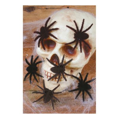 Håriga Spindlar - 6-pack