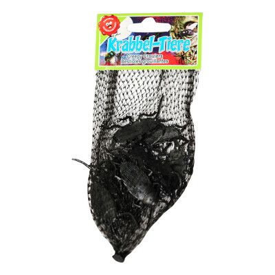 Kackerlackor i Nät - 12-pack