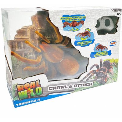 Real Wild Crawl&Attack Radiostyrd Spindel - Leksaksaffären -  Leksaksaffären