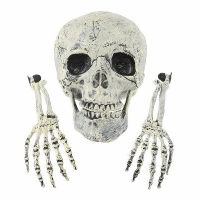 Skelett ur Marken Prop