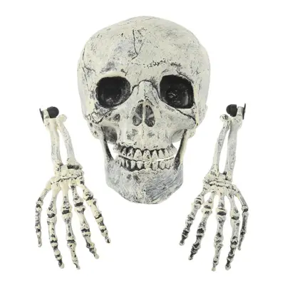 Skelett ur Marken Prop