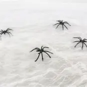 Spindelnät Dekoration Vit