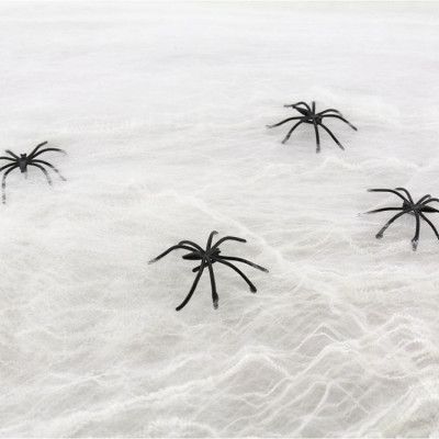 Spindelnät Dekoration Vit