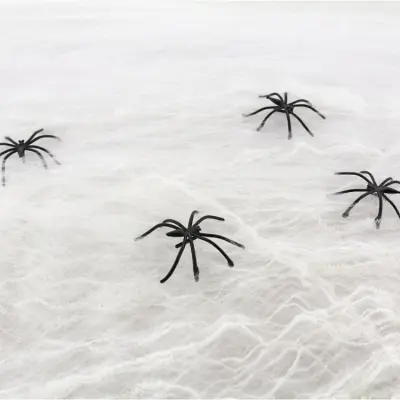 Spindelnät Dekoration Vit