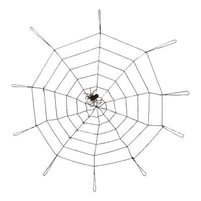 Stort Spindelnät med Spindel