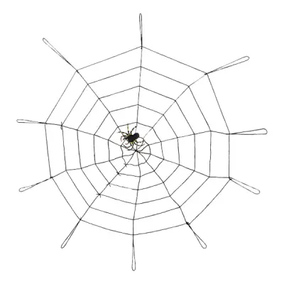 Stort Spindelnät med Spindel