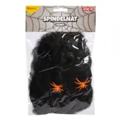 Svart Spindelnät med Spindlar