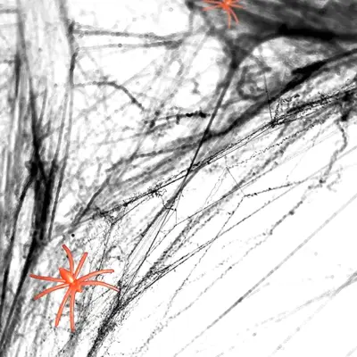 Svart Spindelnät med Spindlar - 60 gram