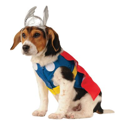 Thor Hund Maskeraddräkt