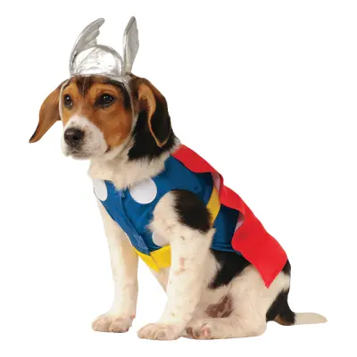 Thor Hund Maskeraddräkt