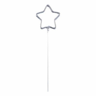 Tomtebloss Stjärna Silver