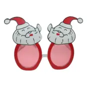 Glasögon med Tomte