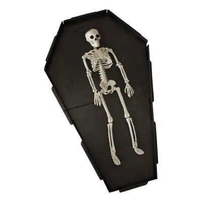 Kista med Dödskalle Serveringsfat