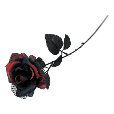 Ros i Plast Röd/Svart