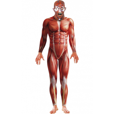 Mänsklig anatomi-dräkt M